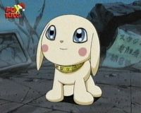 Digivolution Gatomon
