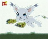 Digivolution Gatomon