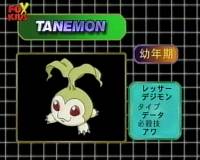 Digivolution Palmon