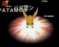 Digivolution Patamon