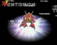 Digivolution Tentomon