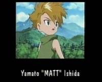 Matt