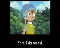 Sora