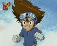 tai
