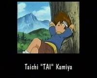 tai
