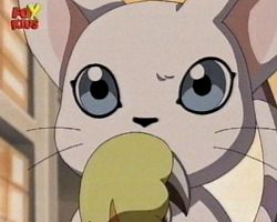 Agumon, je vais t'aider  marcher