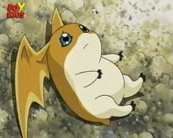 Agumon, je vais t'aider  marcher