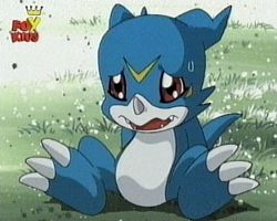 Agumon, je vais t'aider  marcher